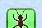 N9游戏：蚂蚁克星 Ant Smash
