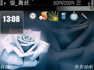 蓝玫瑰