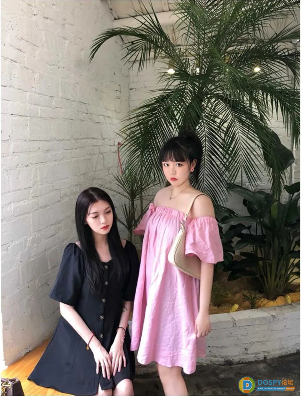 P图前1.jpg