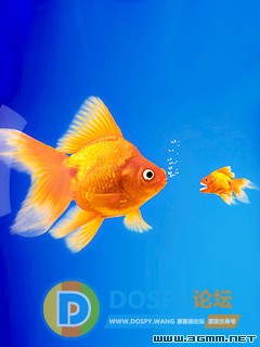 20080107_d1d59e632f37af406168o4sytygqKRNk.jpg