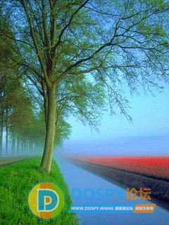 20080107_cdc19cee2cdecc8636a8TKJiCahxb4k3.jpg