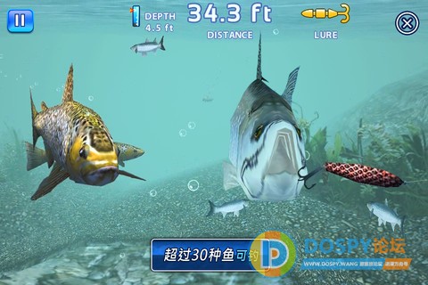 u=707031670,2606689838&amp;fm=26&amp;gp=0.jpg