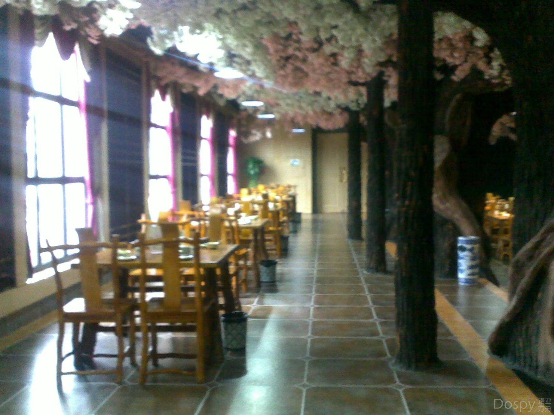 05.jpg