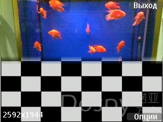Screenshot0275.jpg