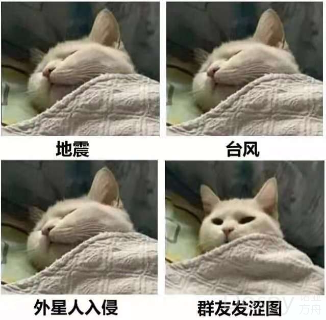 006APoFYly8gphfzveswij30hr0hg0tk.jpg