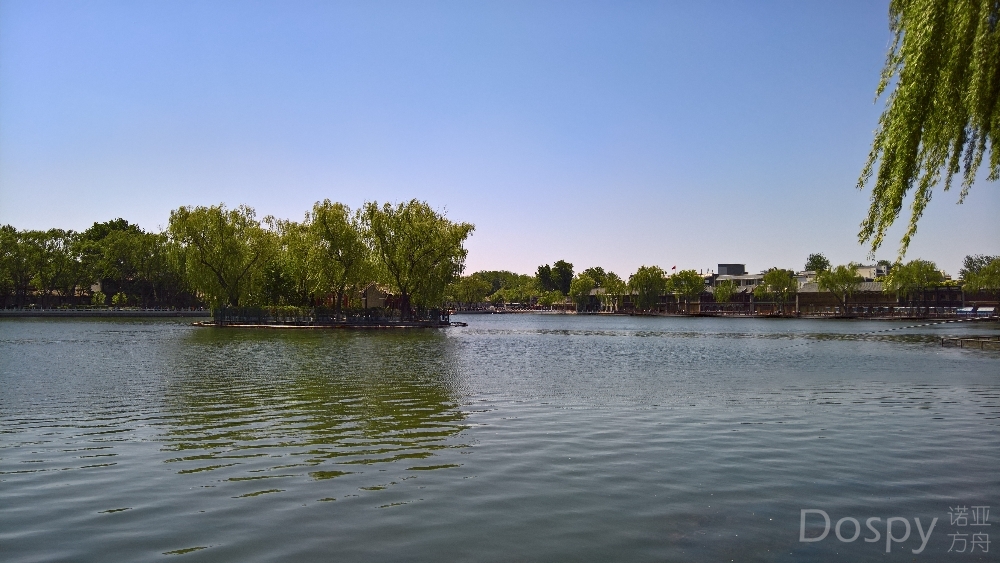 WP_20210504_10_50_12_Pro.jpg