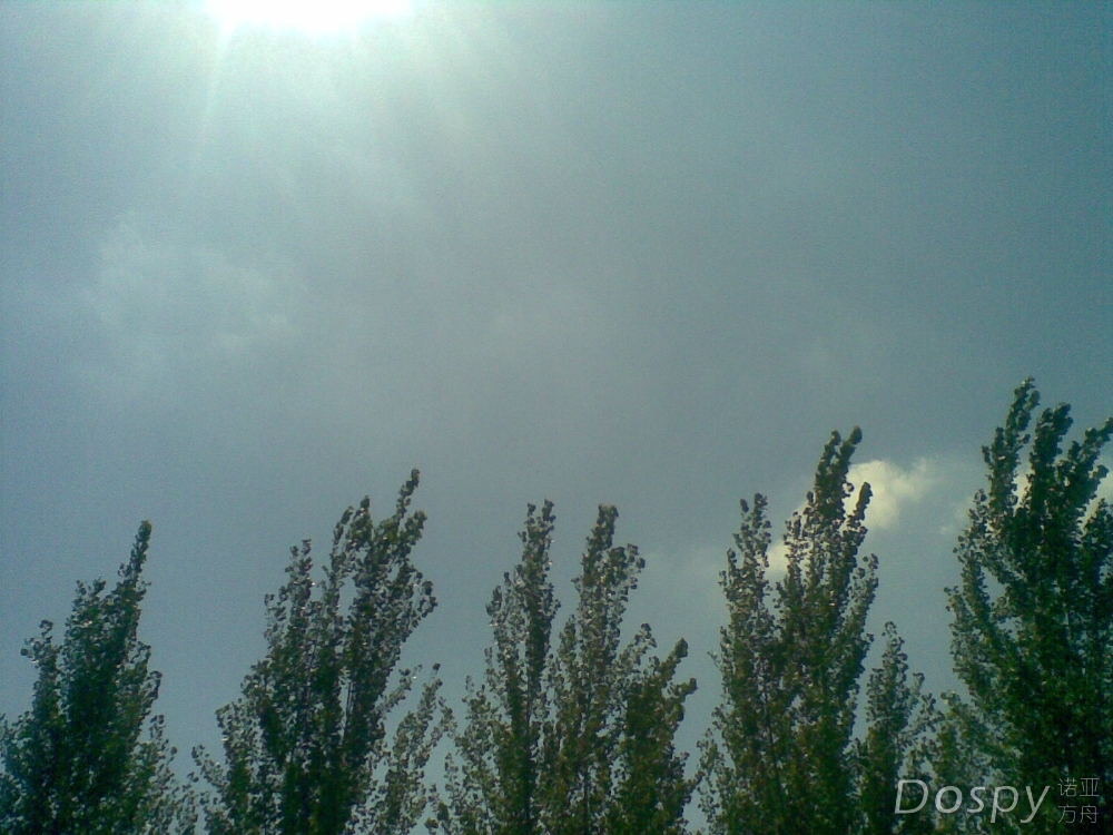 20130812.jpg