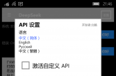 DeepSeekWP8.1
