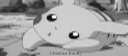 p2.0.gif